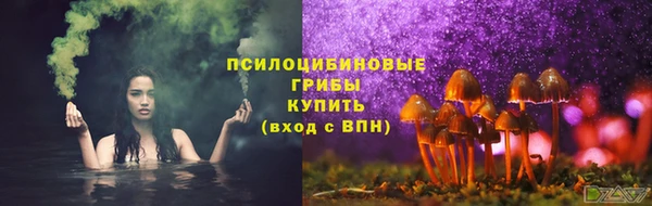 гидропоника Бородино