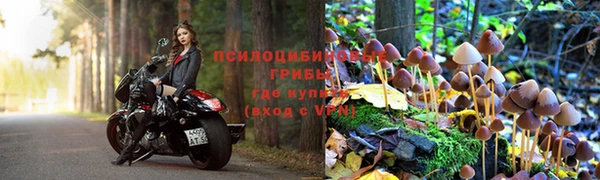 гидропоника Бородино