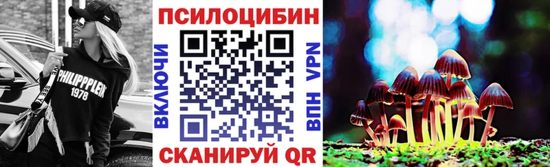 Псилоцибиновые грибы Magic Shrooms  купить закладку  Клинцы 